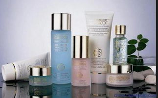 上海伯斯卡國際貨物運輸代理公司 一站式進口化妝品、食品與家具清關(guān)服務(wù)